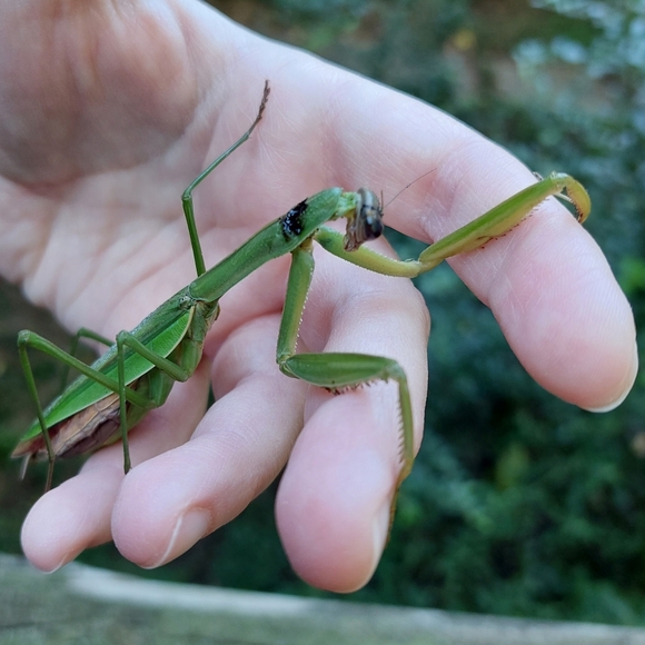 PLSreadBEFOREbuying! - Picture 14 of 15